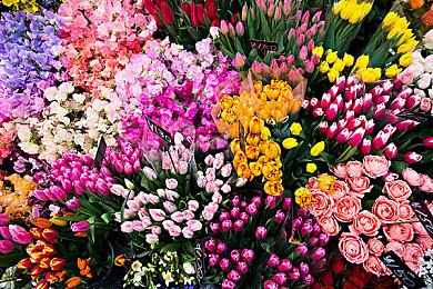 《街头霸王6》新角色“杰米”演示 打醉拳跳霹雳舞